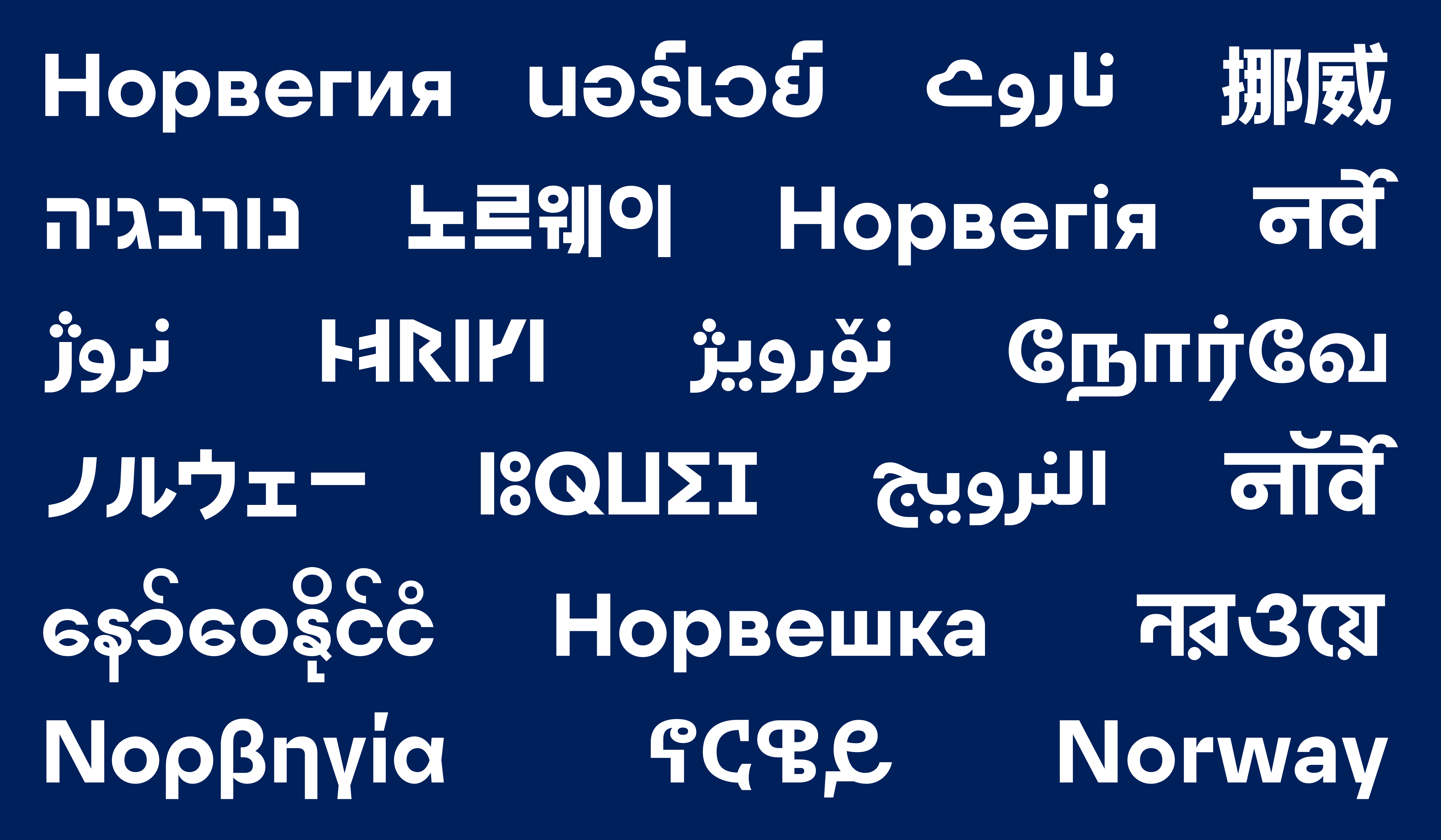 As a global communication and diplomatic effort, the logo should speak the local language. I drew localised logos for all the countries Norway has diplomatic relations with.